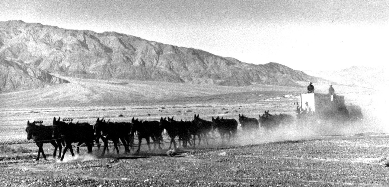 A mule team pulling a wagon
